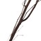 Uniquewise 47 Natural Dry Branches Authentic Willow Sticks for Home Decoration and Wedding Craft, Black QI004415.BK - alternate 6